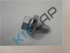 ���� � ������
