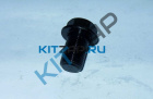 ���� �������������  